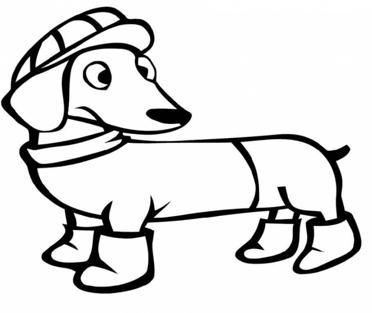 Live dachshund coloring