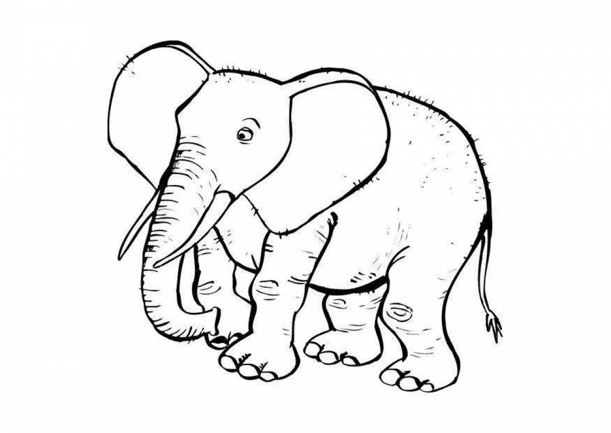 Фото Забавный зеленый слон раскраска