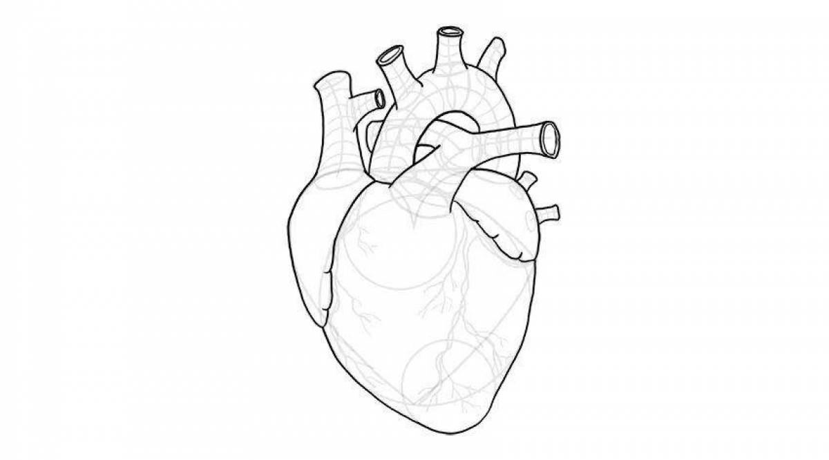 Фото Увлекательная страница раскраски анатомического сердца