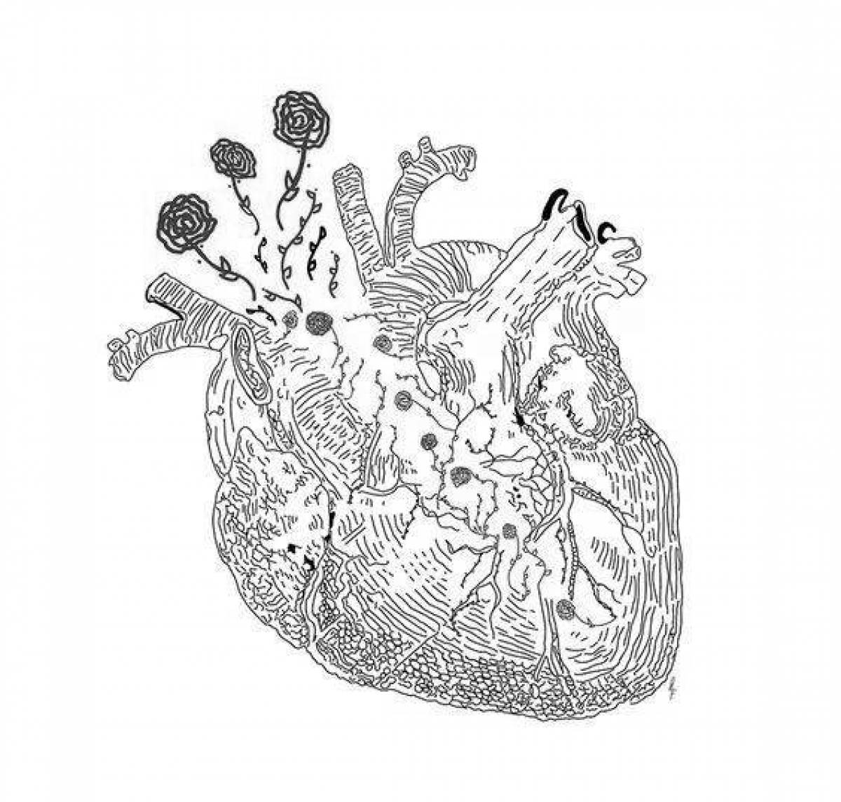 Фото Роскошная страница раскраски анатомического сердца