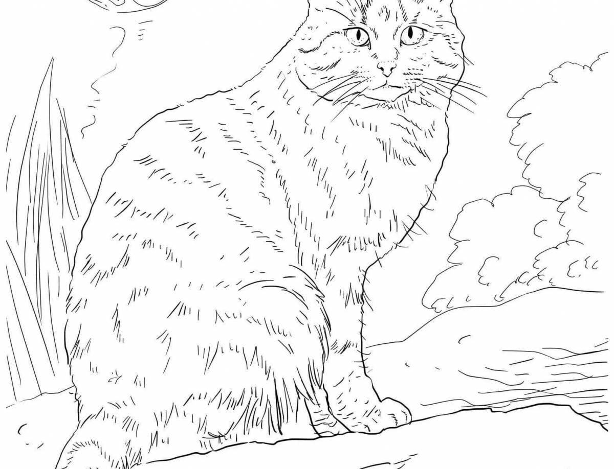 Coloring elegant ginger cat