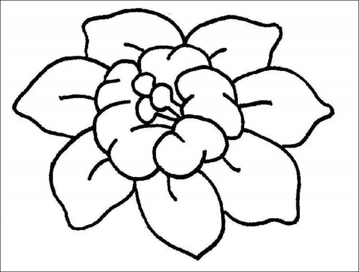 Фото Раскраска изысканный семицветик контур цветка
