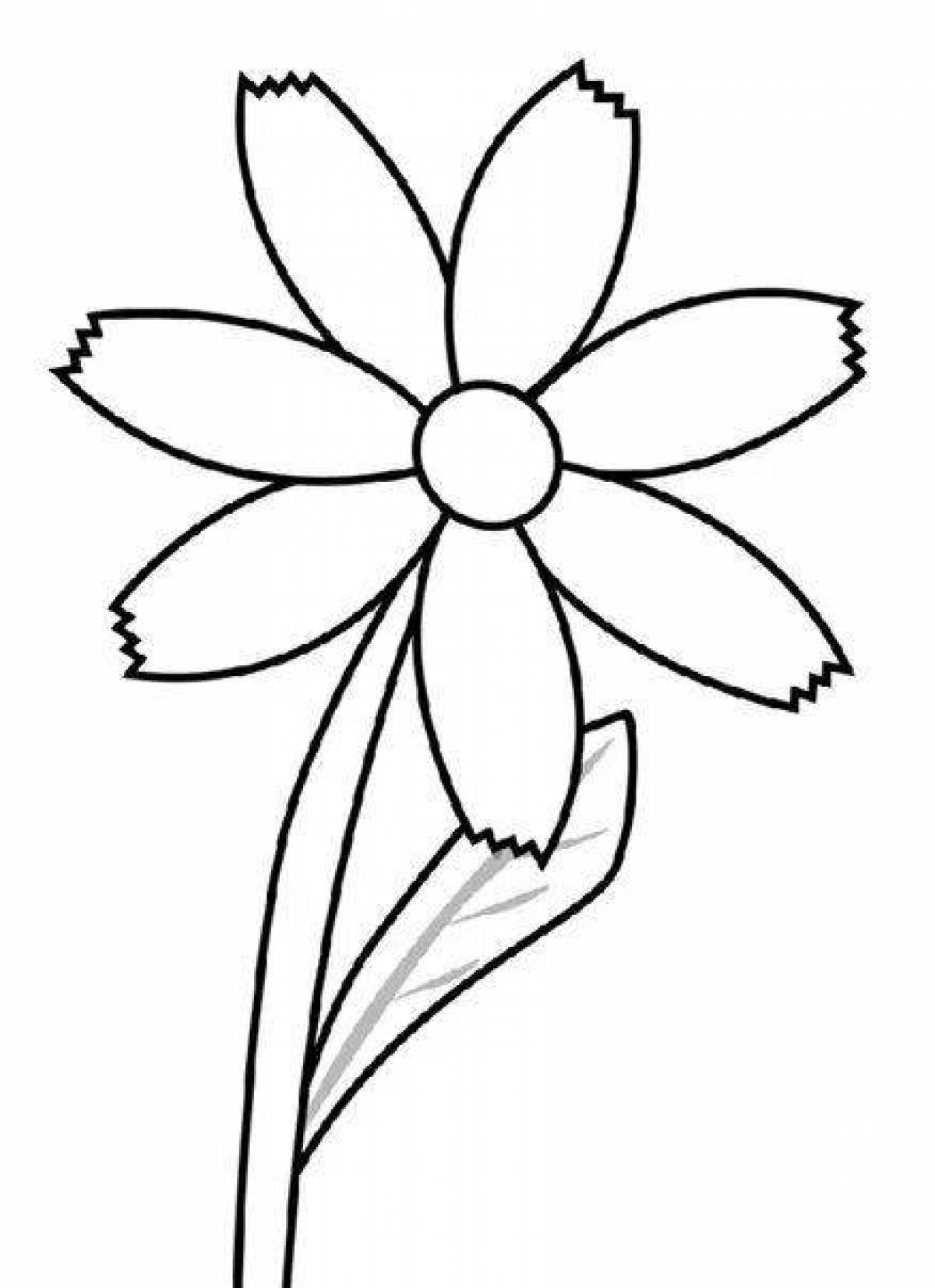 Фото Раскраска сказочный цветок семицветик