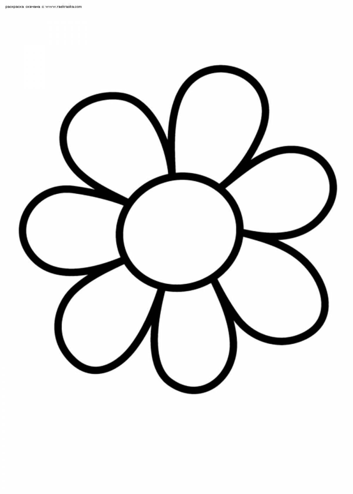 Фото Раскраска великолепный семицветик цветок контур