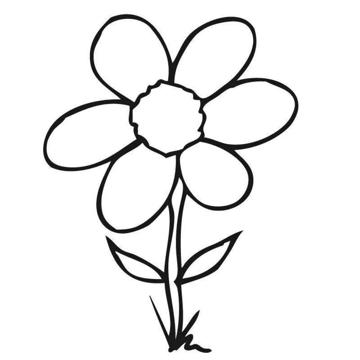 Фото Раскраска славный семицветик цветок контур