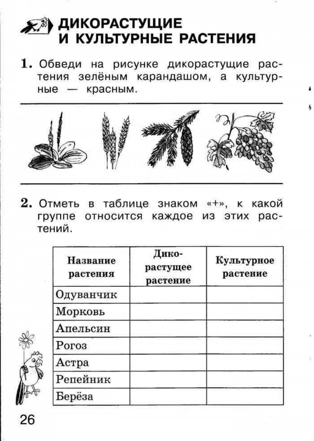 Какие бывают растения рабочая тетрадь