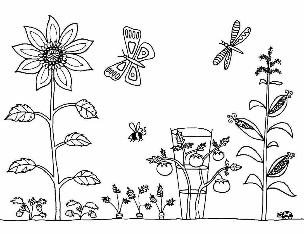 Plant coloring. Раскраска. В огороде. Растения. Раскраска. Растения раскраска для детей. Растения сада раскраска.