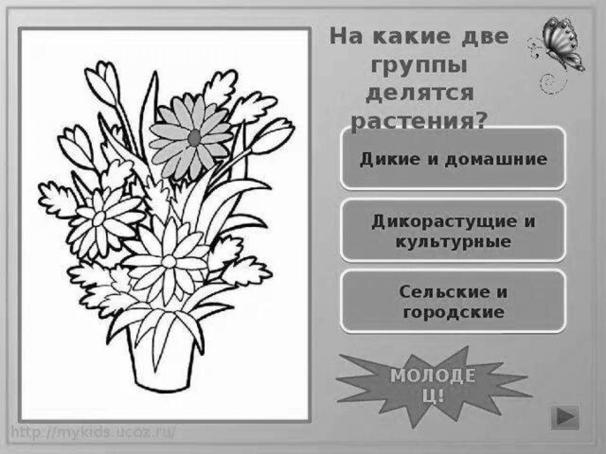 Картинки культурные растения