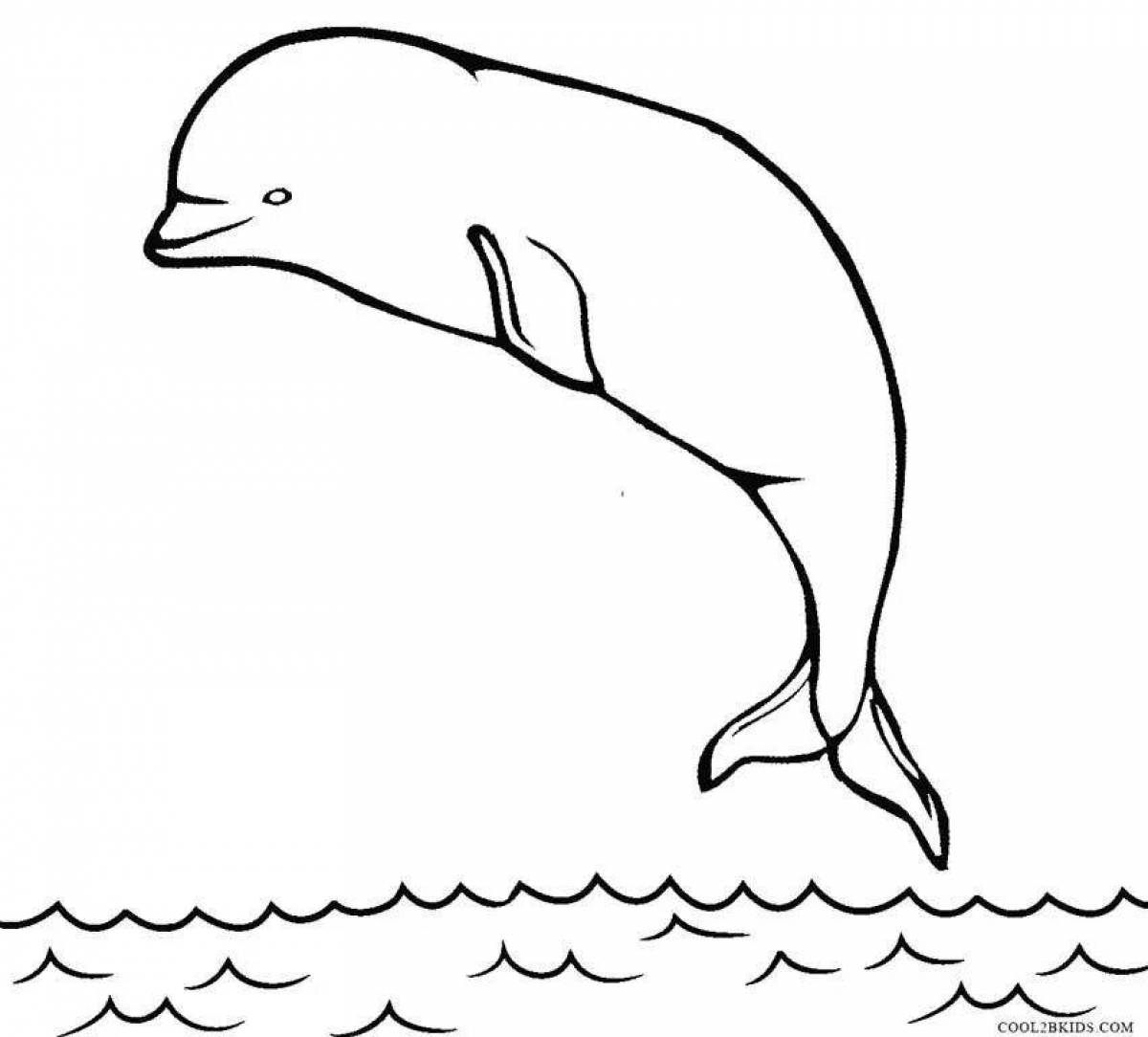Дельфин Белуха раскраска