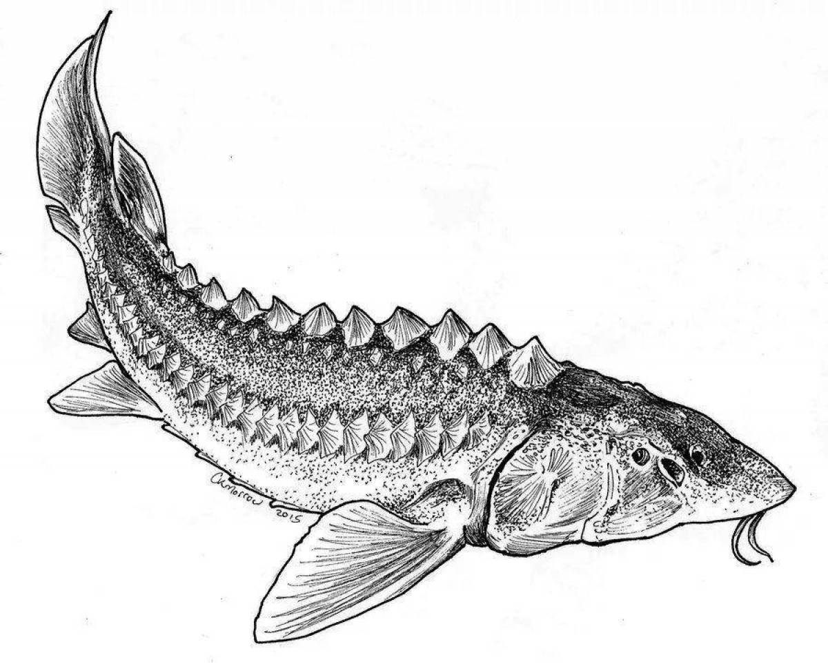 Белуга рыба