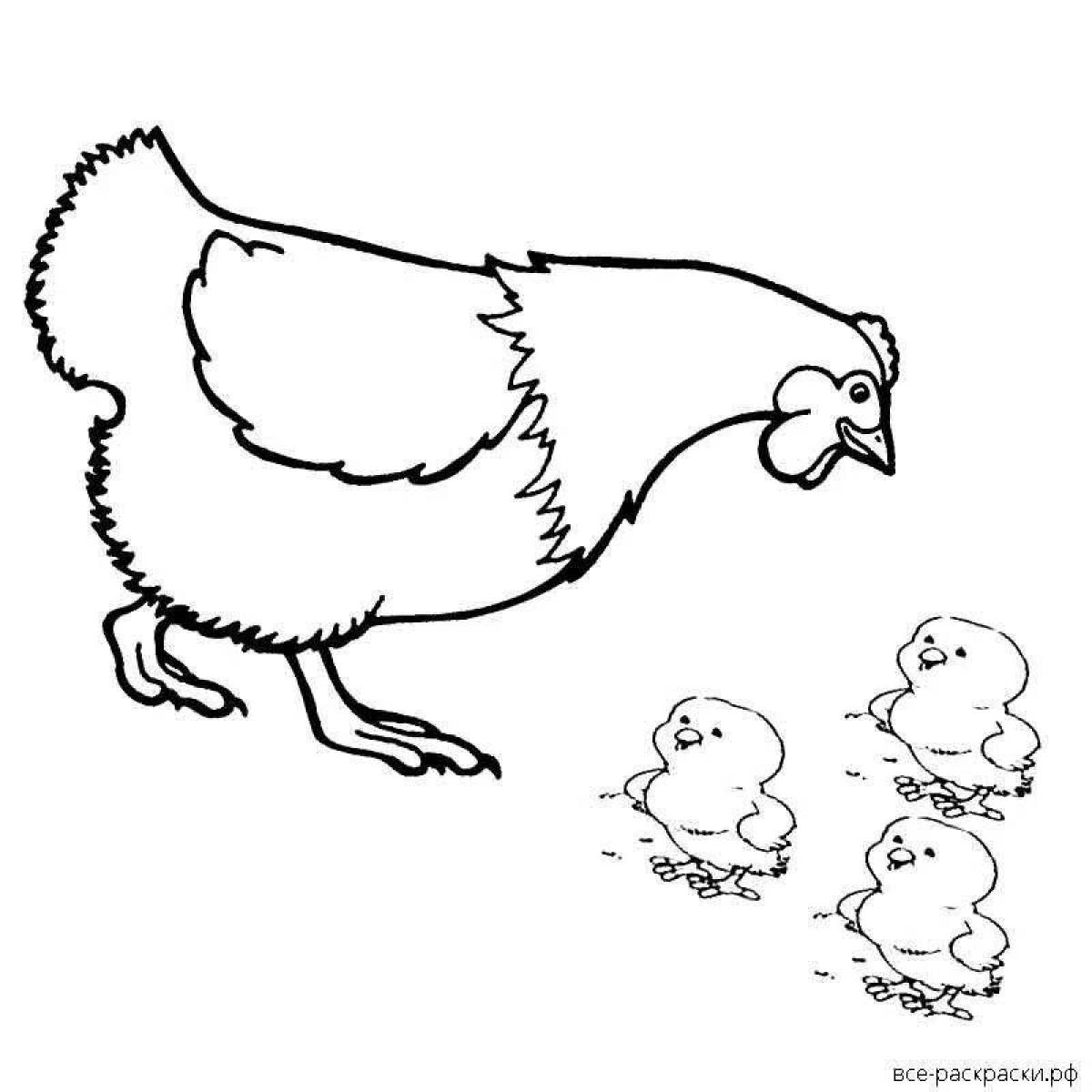 Фото Безмятежная курица с цыплятами