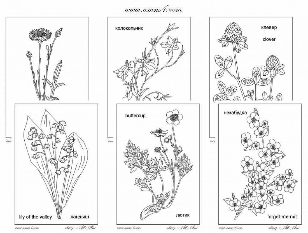 Effective coloring of cultivated plants