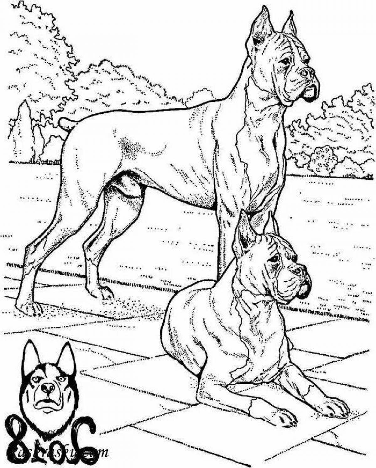 Раскраска большие собаки