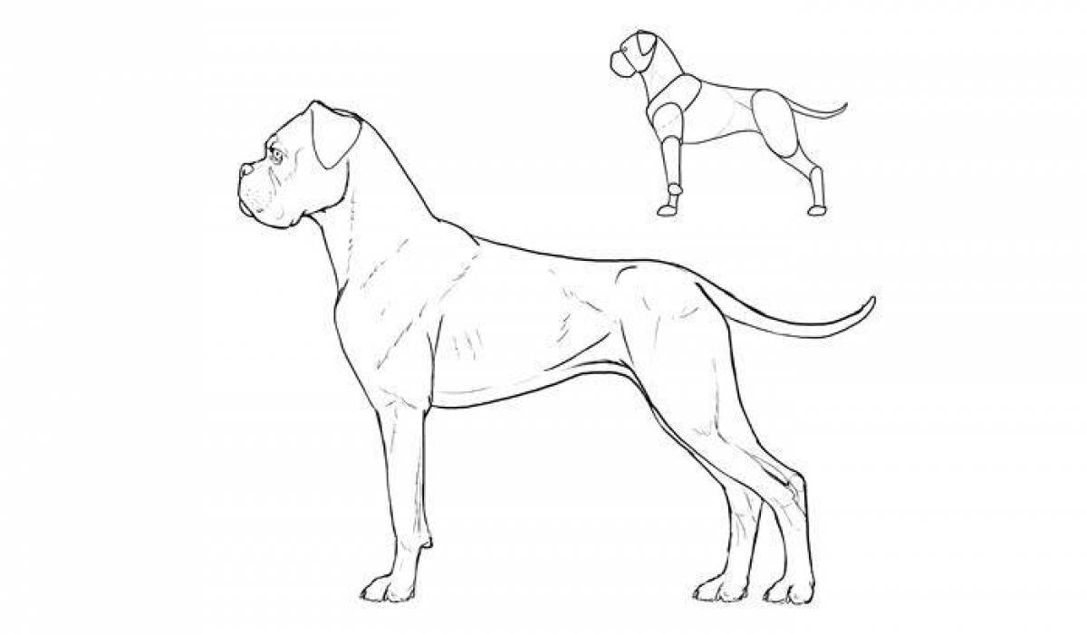 Как нарисовать собаку кане корсо поэтапно