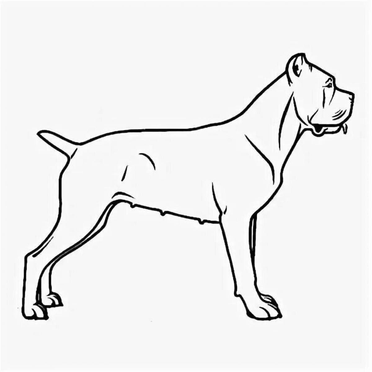 Рисунок собаки Кане Корсо