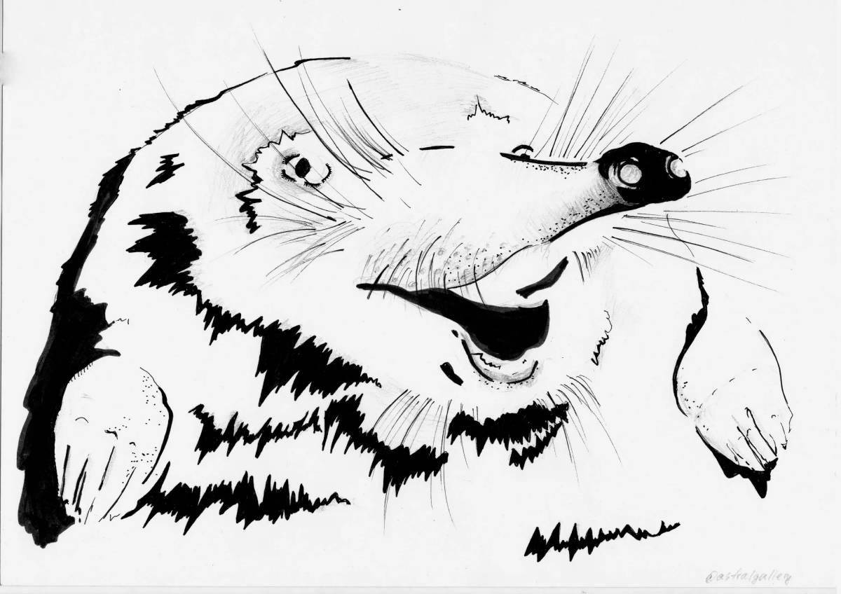 Coloring page magnificent muskrat