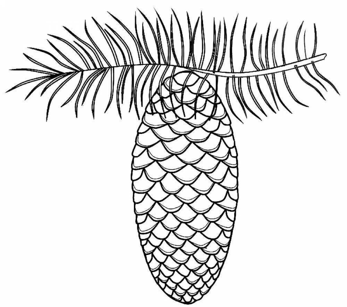 Фото Анимированная страница раскраски еловой ветки