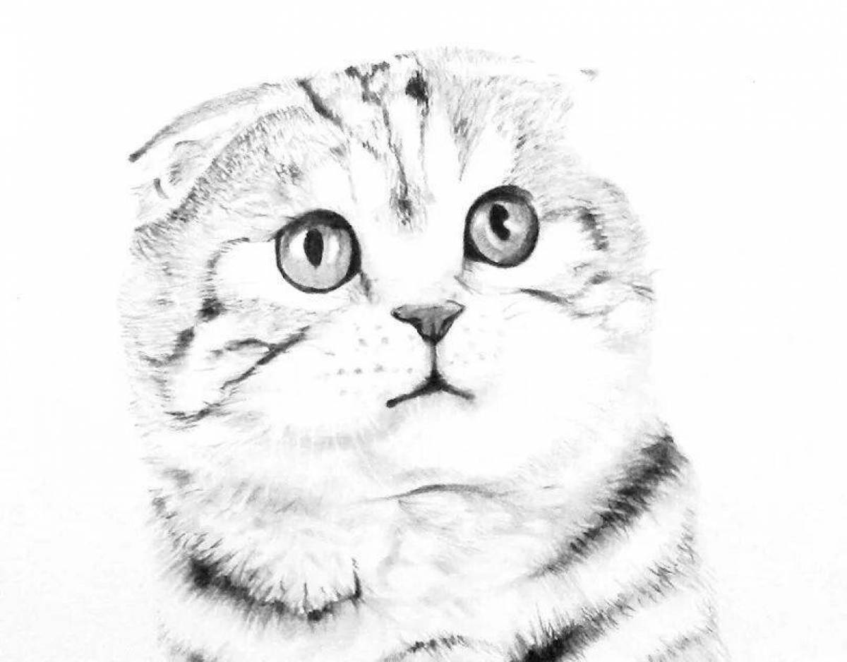 Фото Раскраска пушистая вислоухая кошка