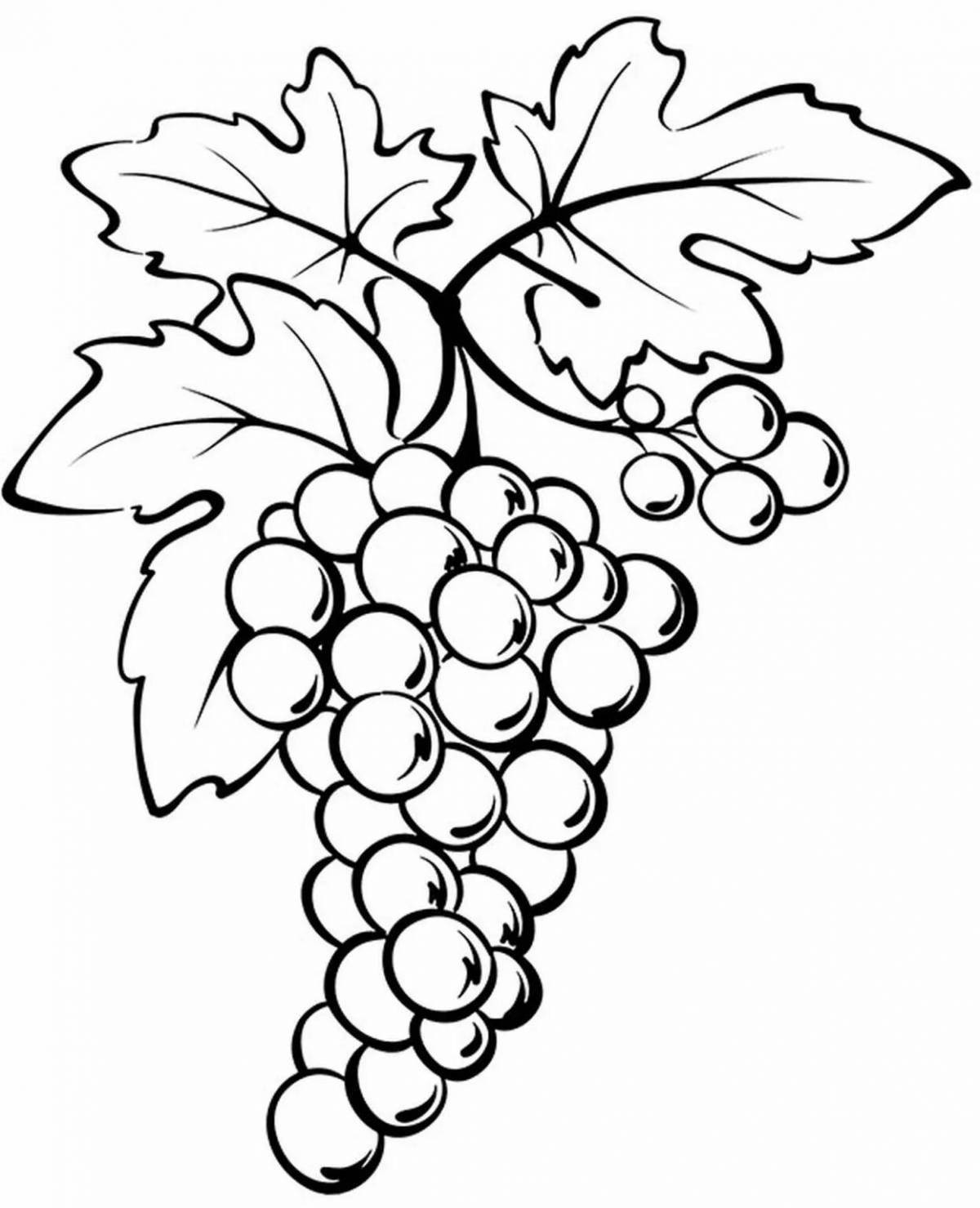 Виноград для рисования