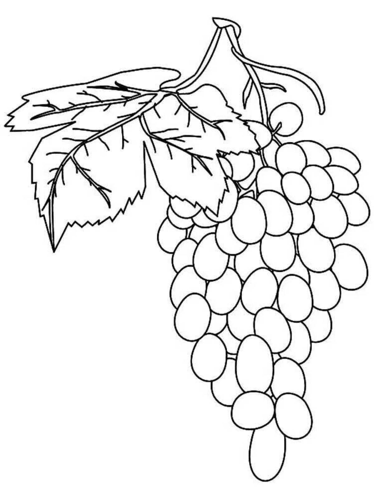 Кисть винограда раскраска