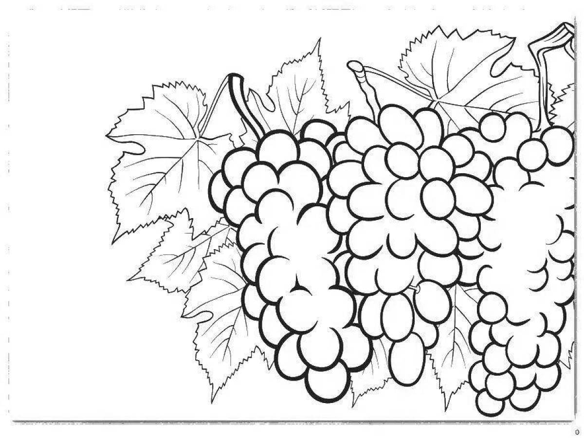 Картинки винограда для срисовки