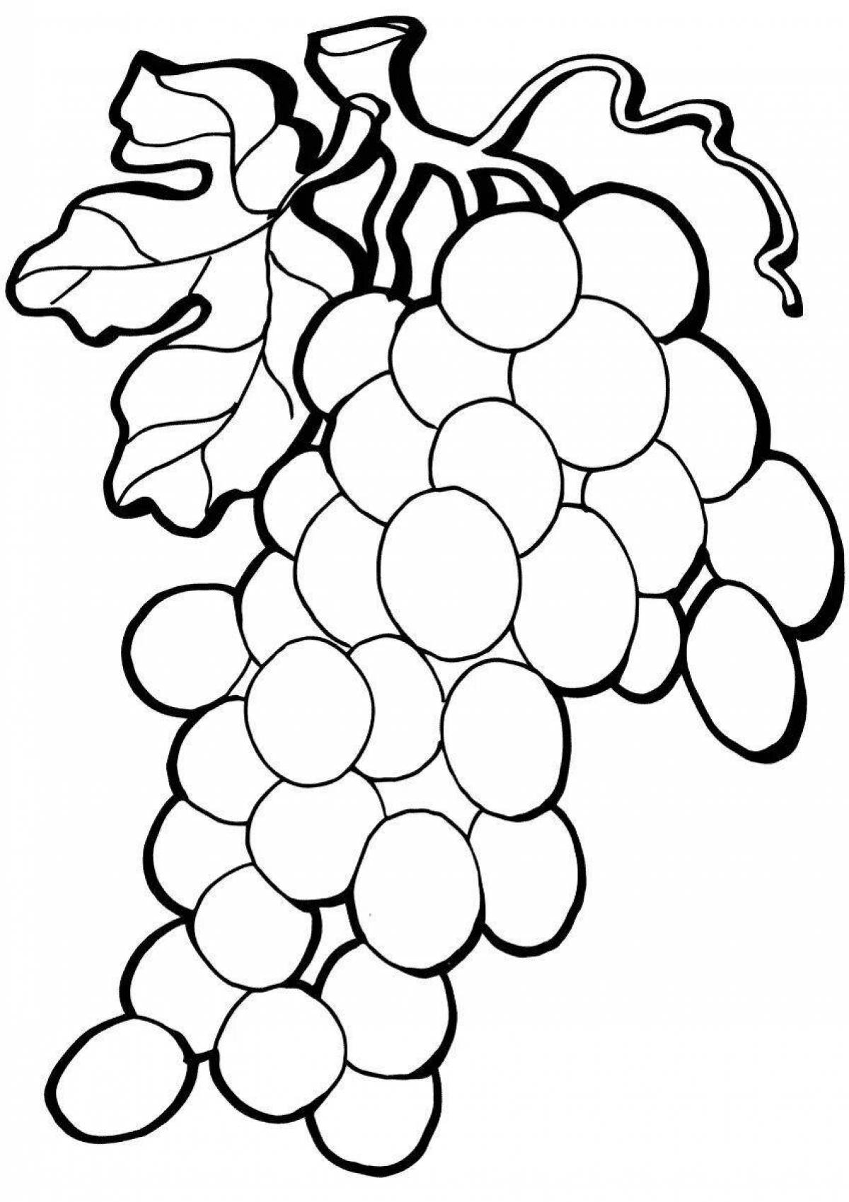 Фото Раскраска яркая гроздь винограда