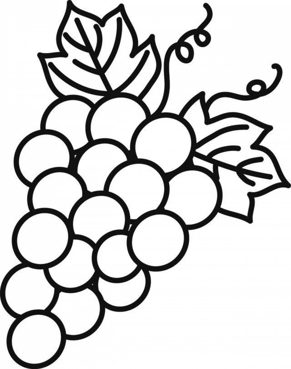 Adorable bunch of grapes coloring page