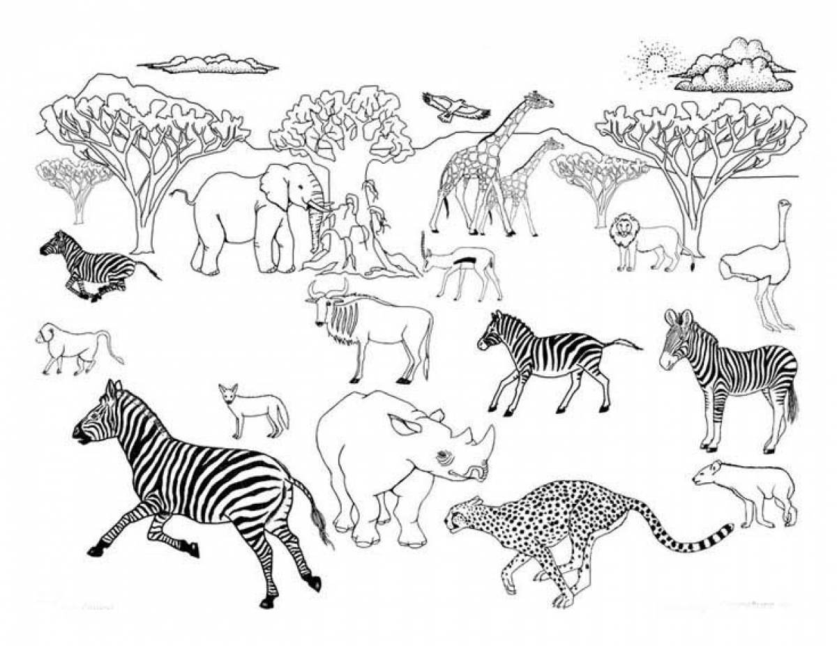 Животные саванны Африки раскраска