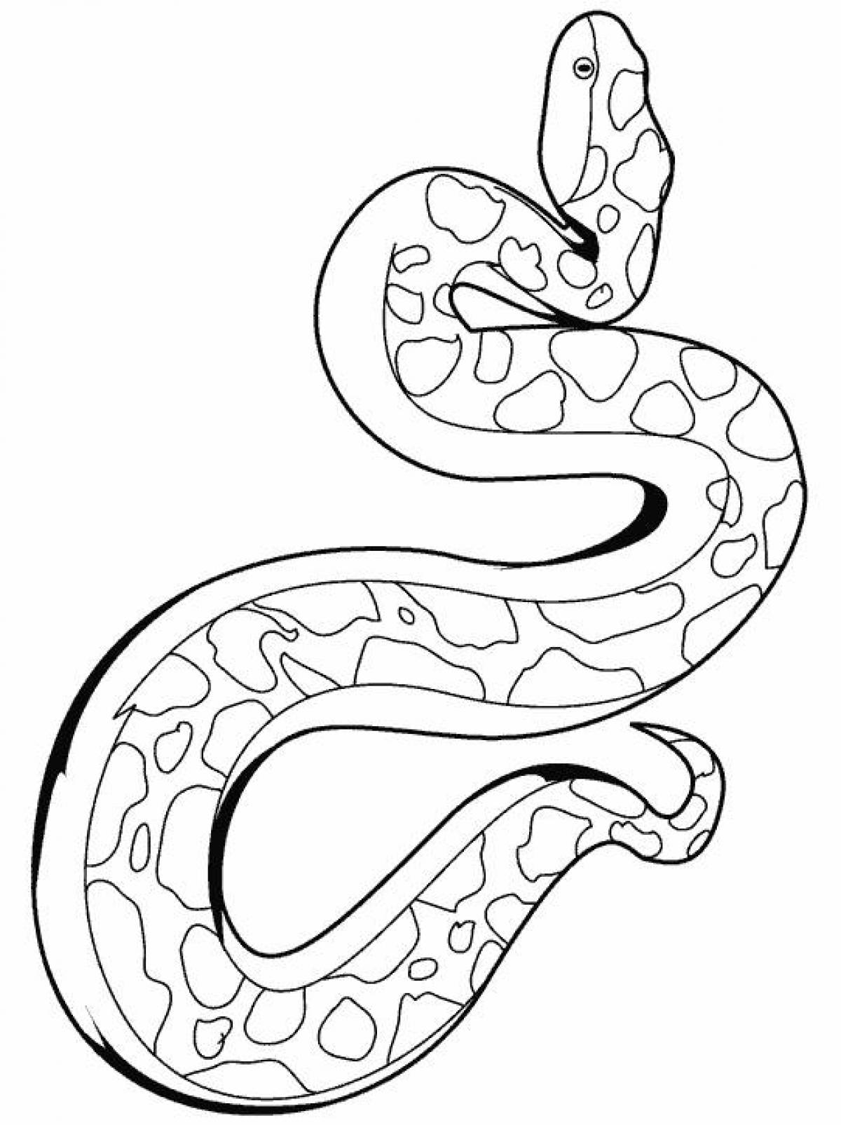 Удав рисунок. Королевский питон раскраска. Змея раскраска. Змея раскраска для детей. Раскраска змеи для детей.