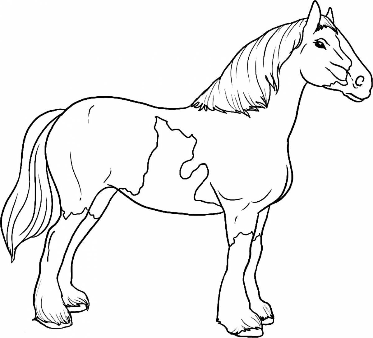 Раскрашиваем лошадку. Раскраска. Лошади. Картинки для раскрашивания лошадки. Лошадь раскраска для детей. Лошадь картинка для детей раскраска.