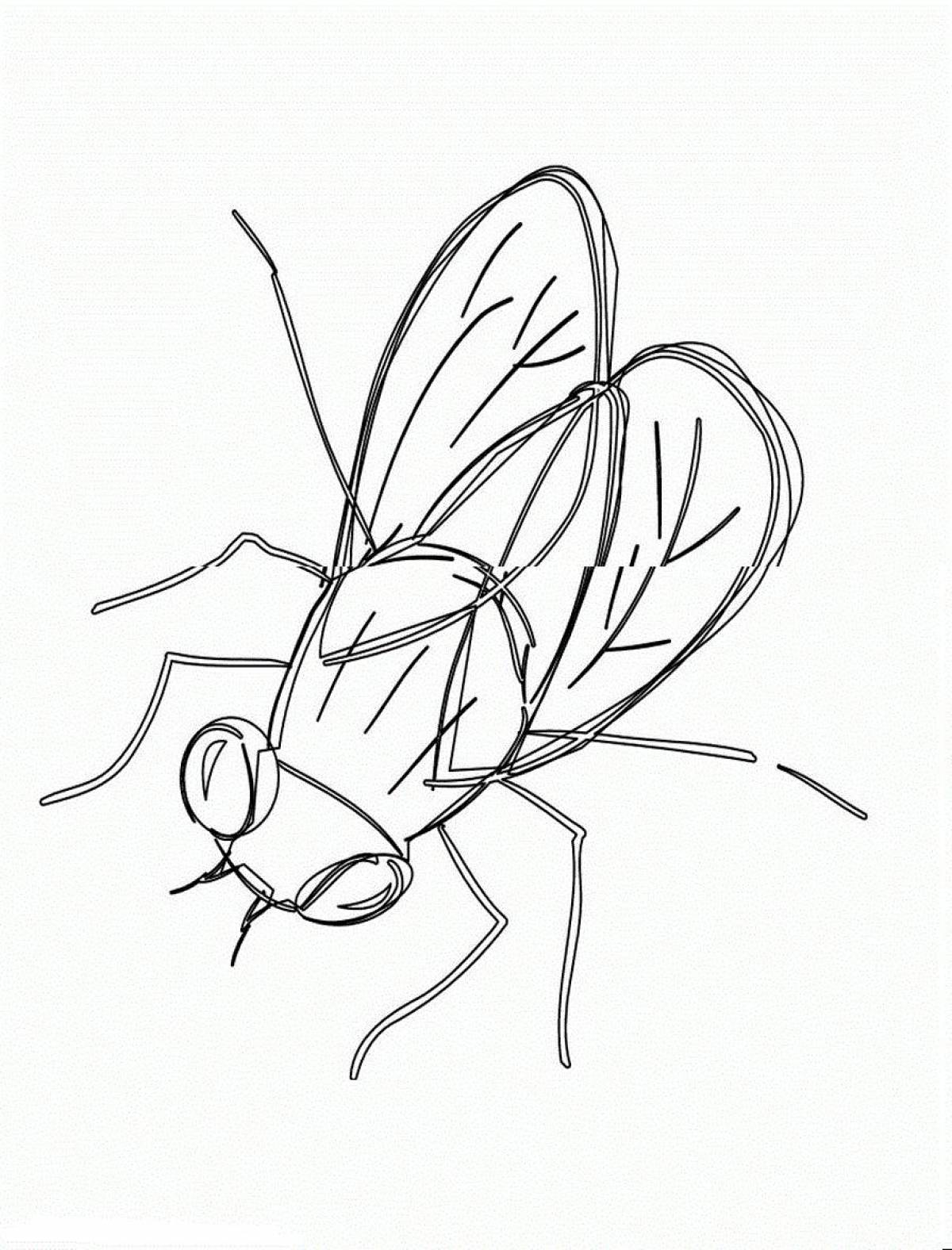 Муха маленький рисунок. Муха ЦЕЦЕ раскраска. Зарисовки насекомых. Муха рисунок. Муха раскраска для детей.