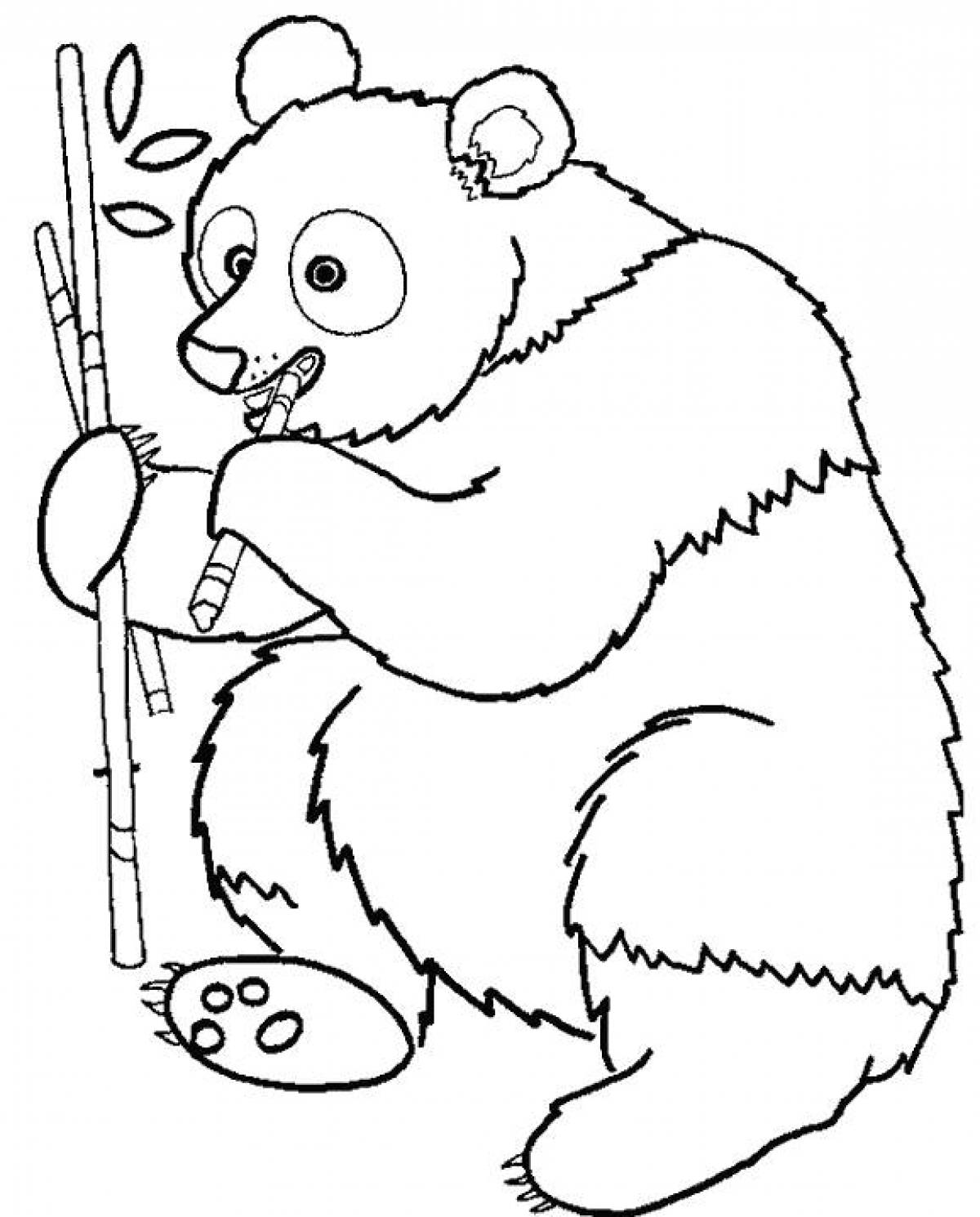 Распечатка медведя. Медведь раскраска. Раскраска Панда. Раскраска. Медвежонок. Медведь раскраска для детей.