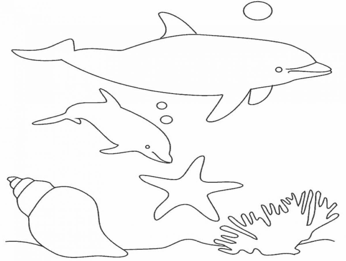 Раскраски дельфины и морские обитатели