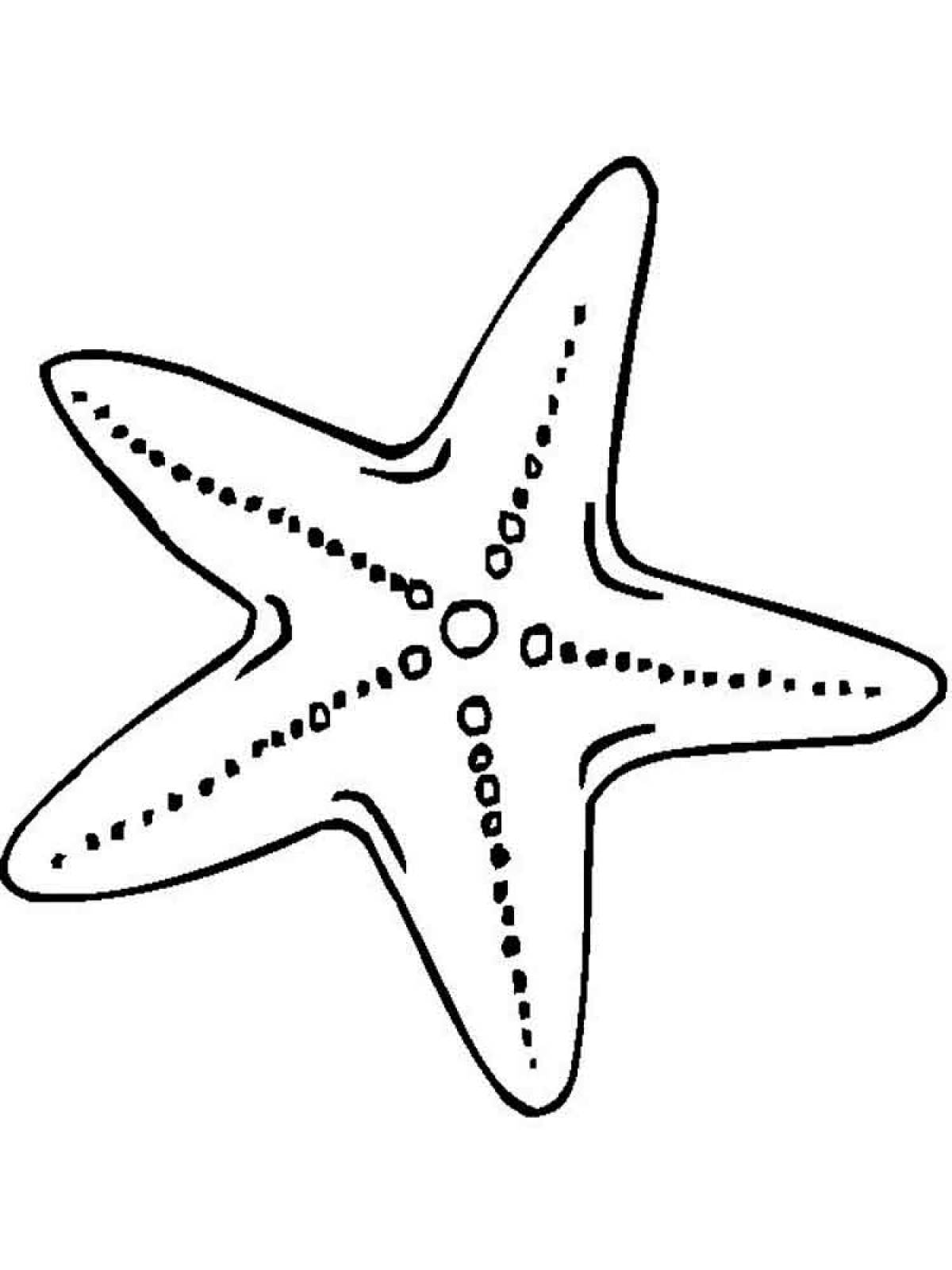Морская звезда контур