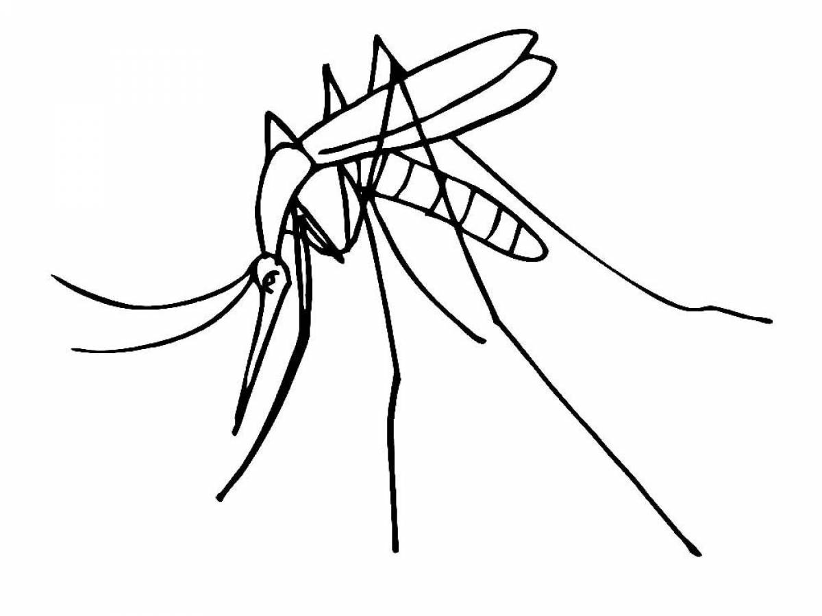 Комар рисунок для детей