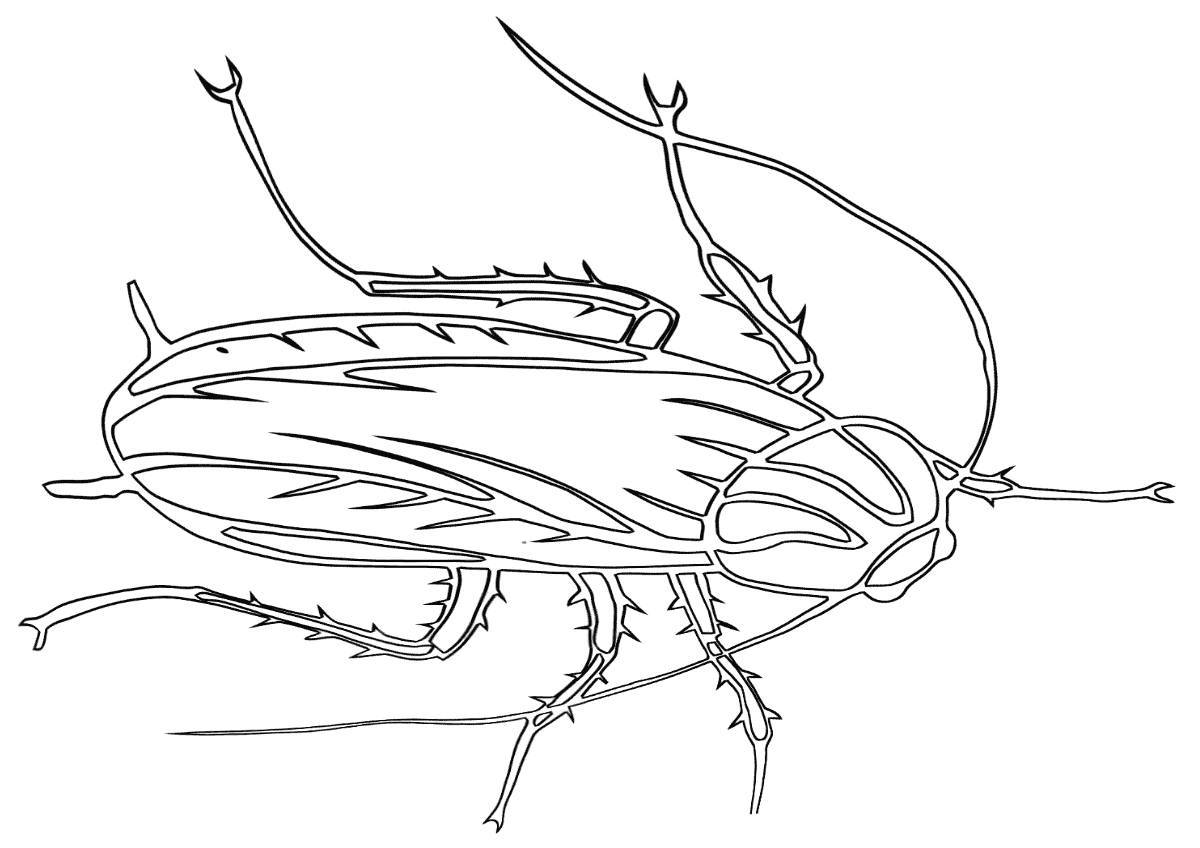 Таракан рисунок для детей