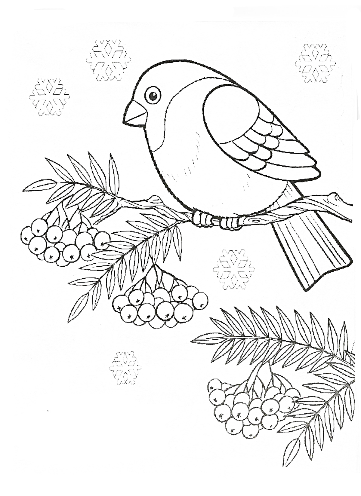 Bullfinch and snowflakes