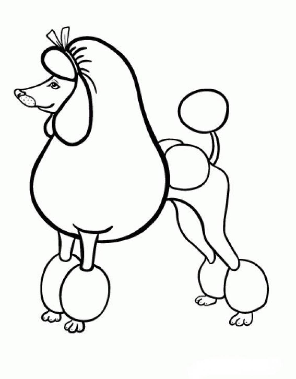 Photo Poodle coloring page