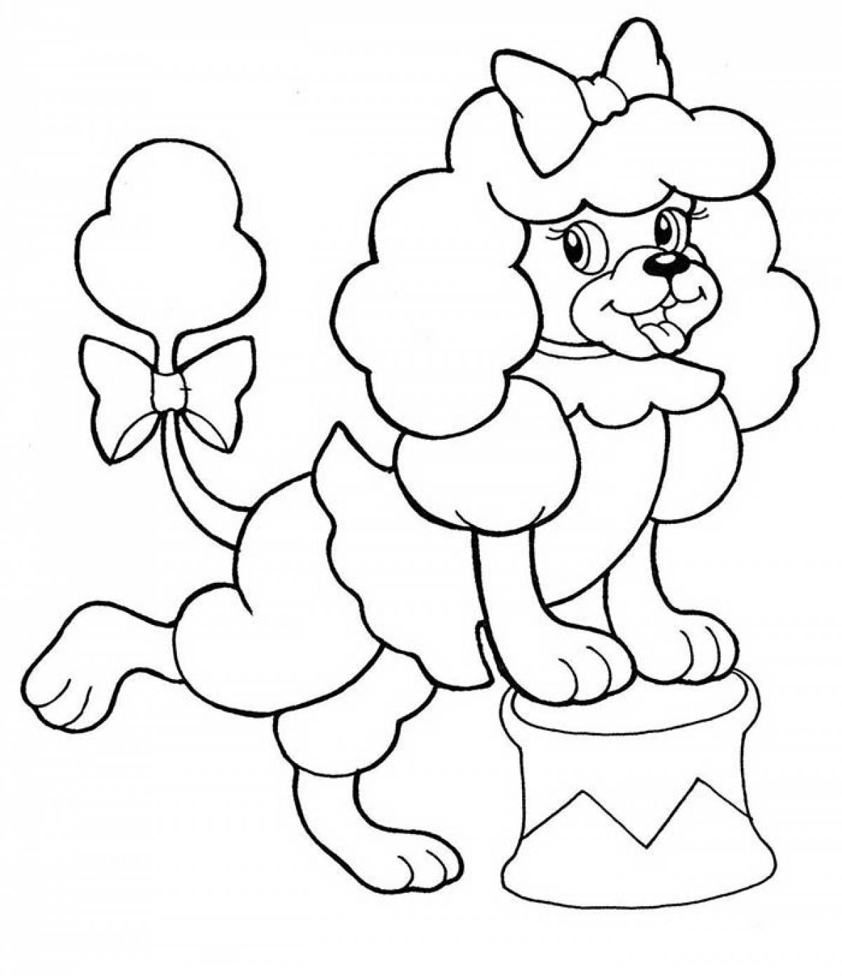 Photo Poodle in the circus