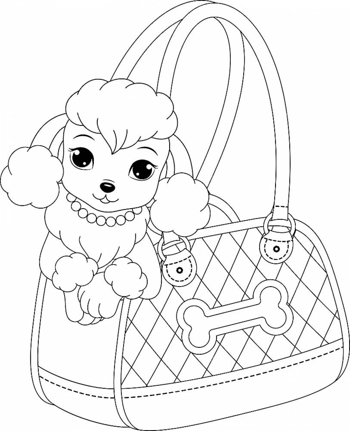 Photo Poodle in a bag