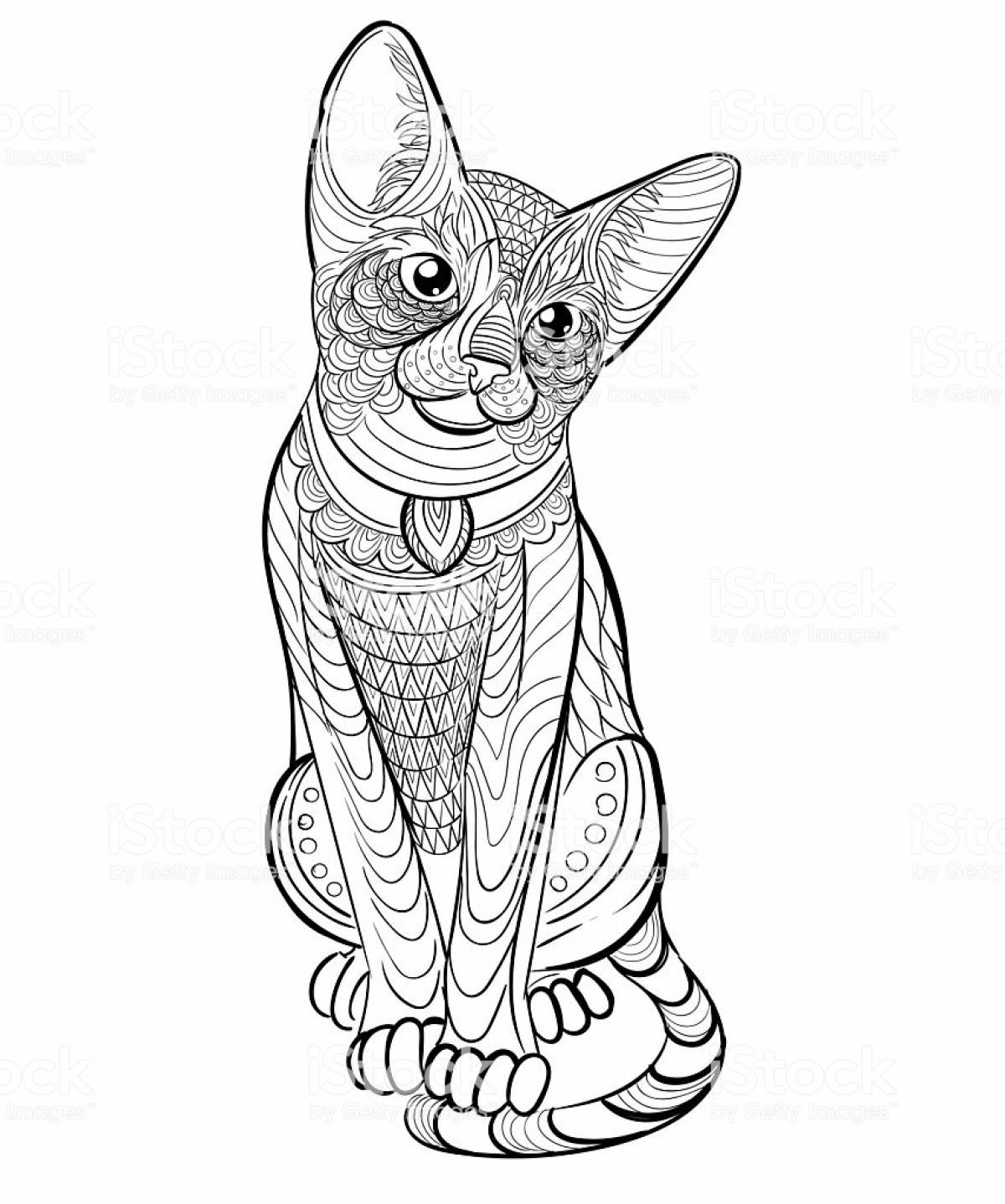 Sphynx antistress coloring page