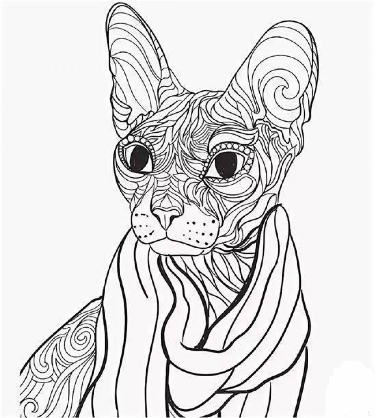 Sphinx in a scarf