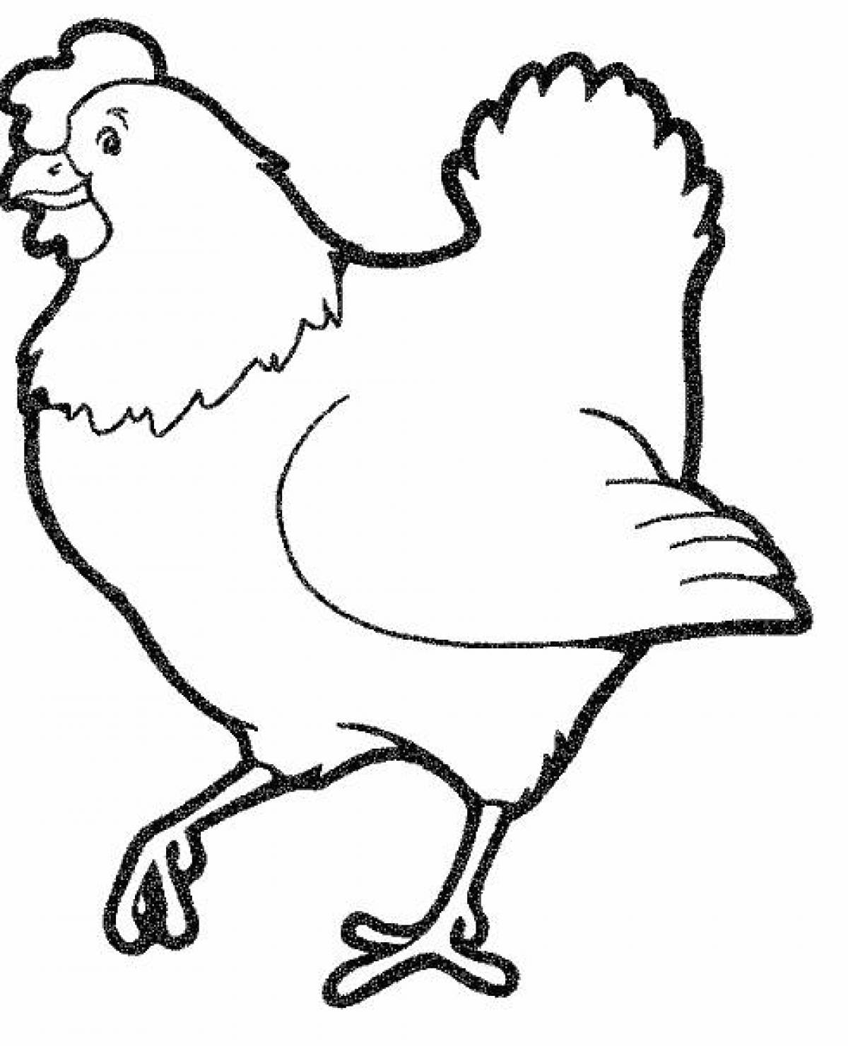 Photo Chicken coloring page