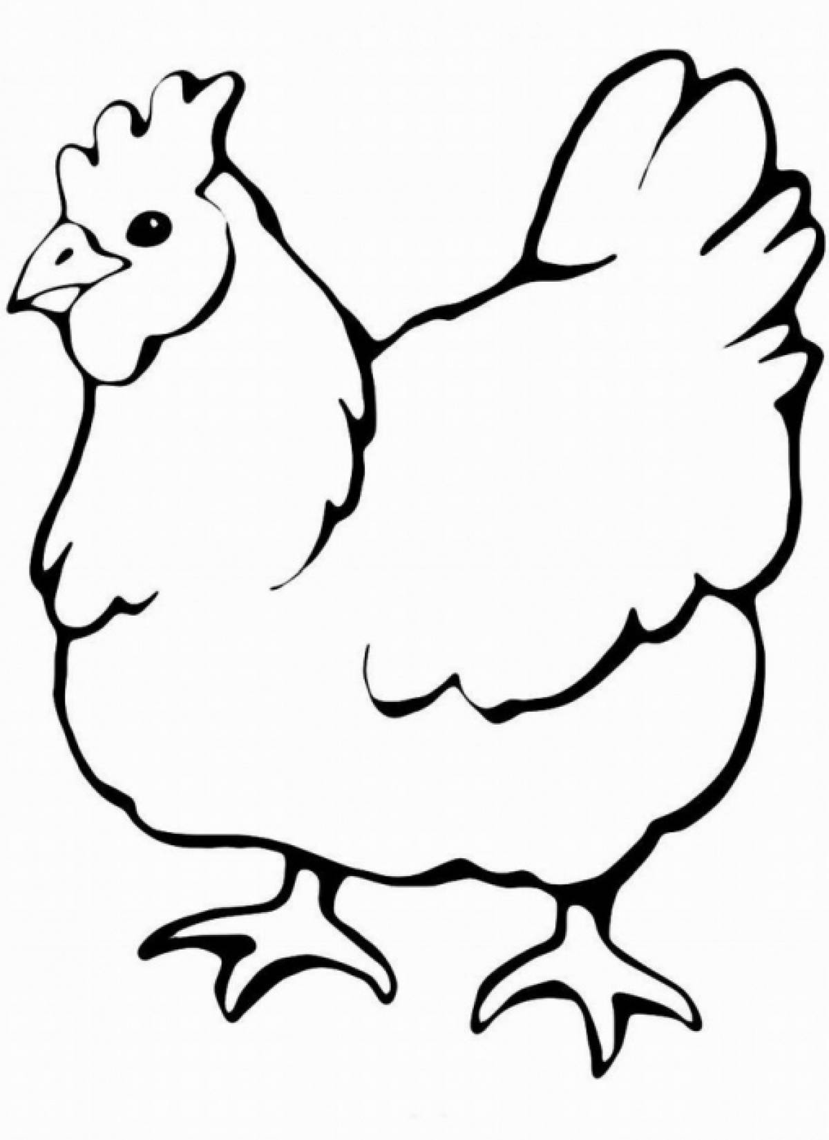 Photo Chicken coloring page
