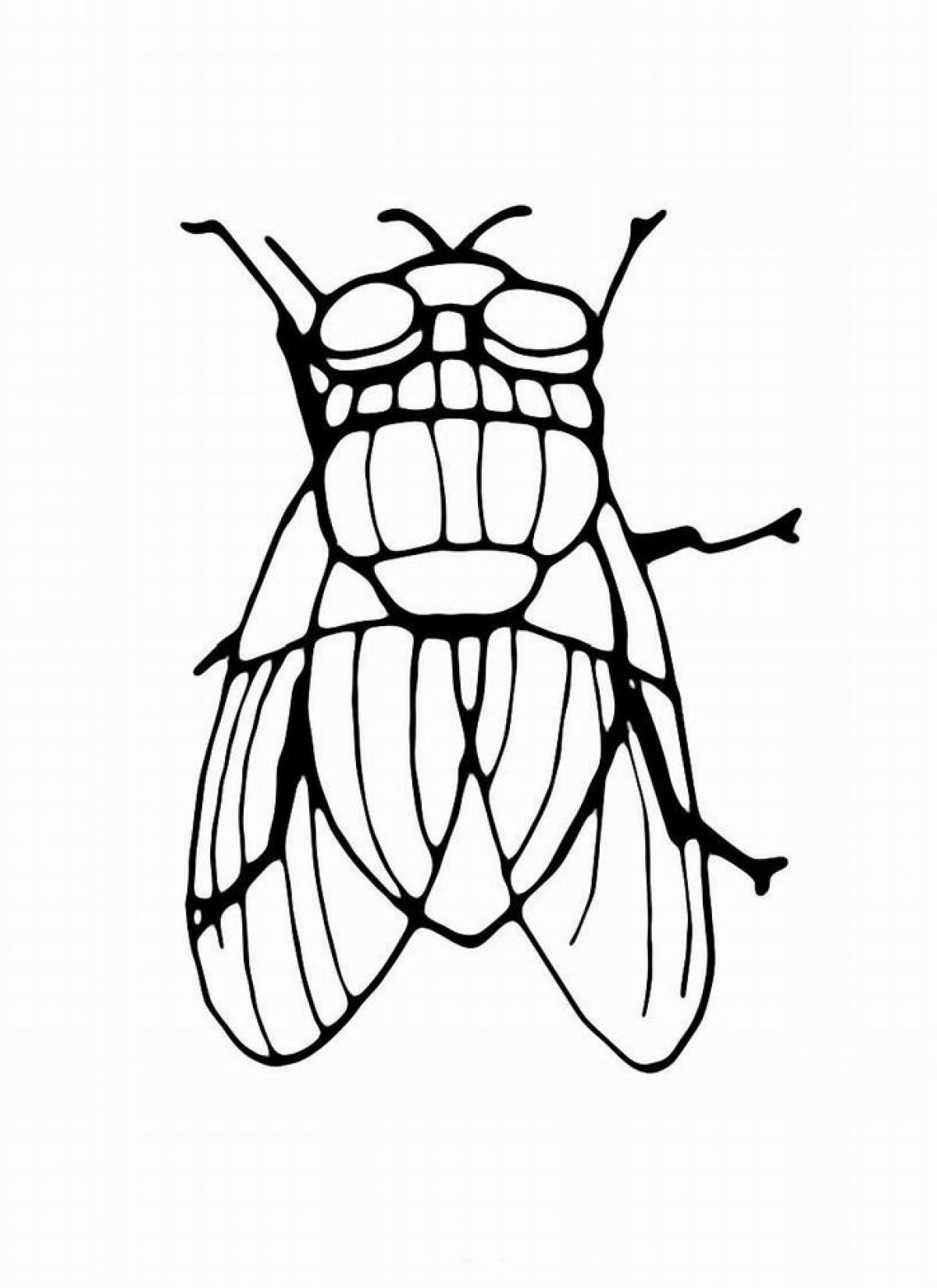 Фото Надоедливая муха