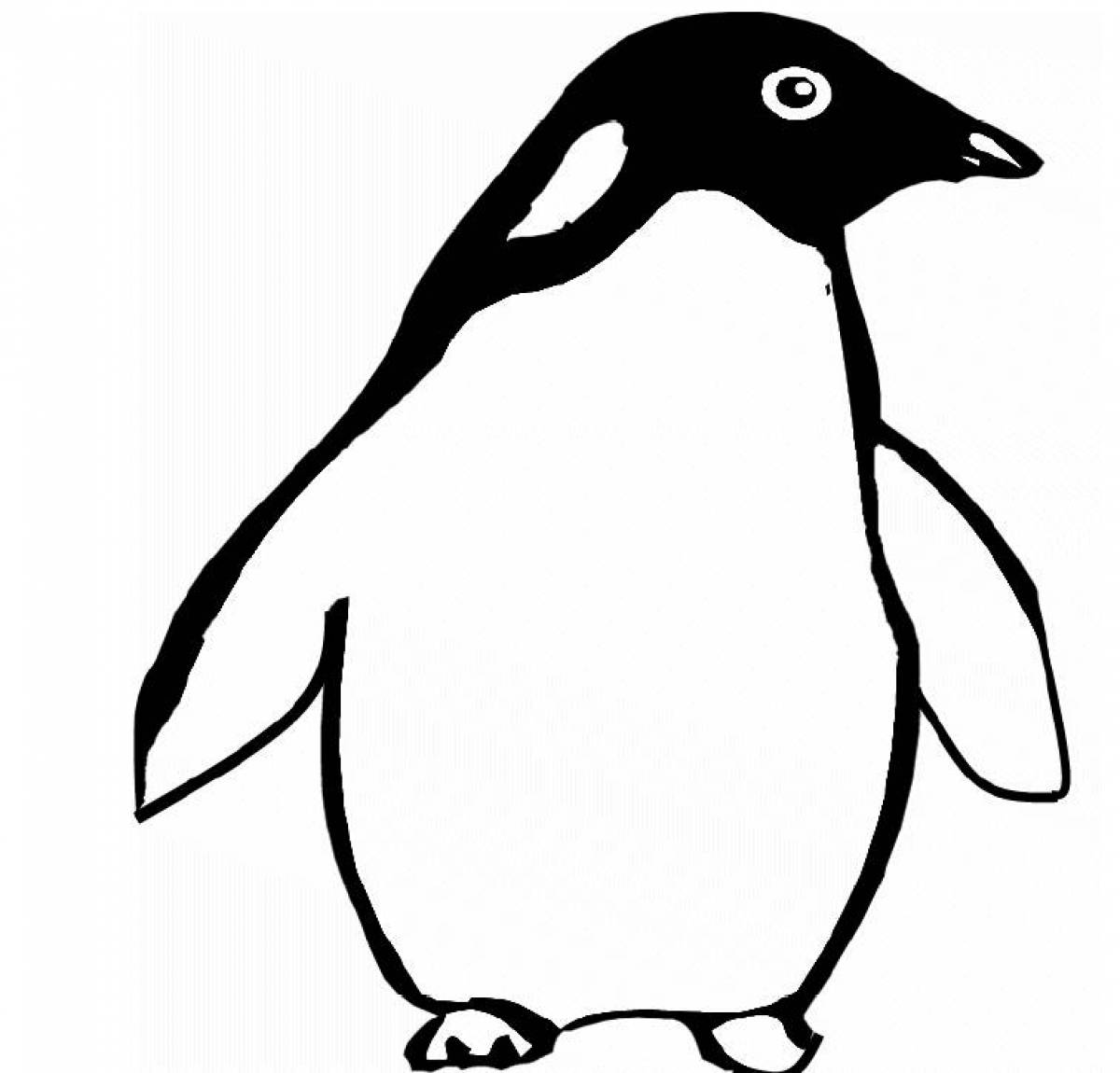 Photo Penguin coloring page