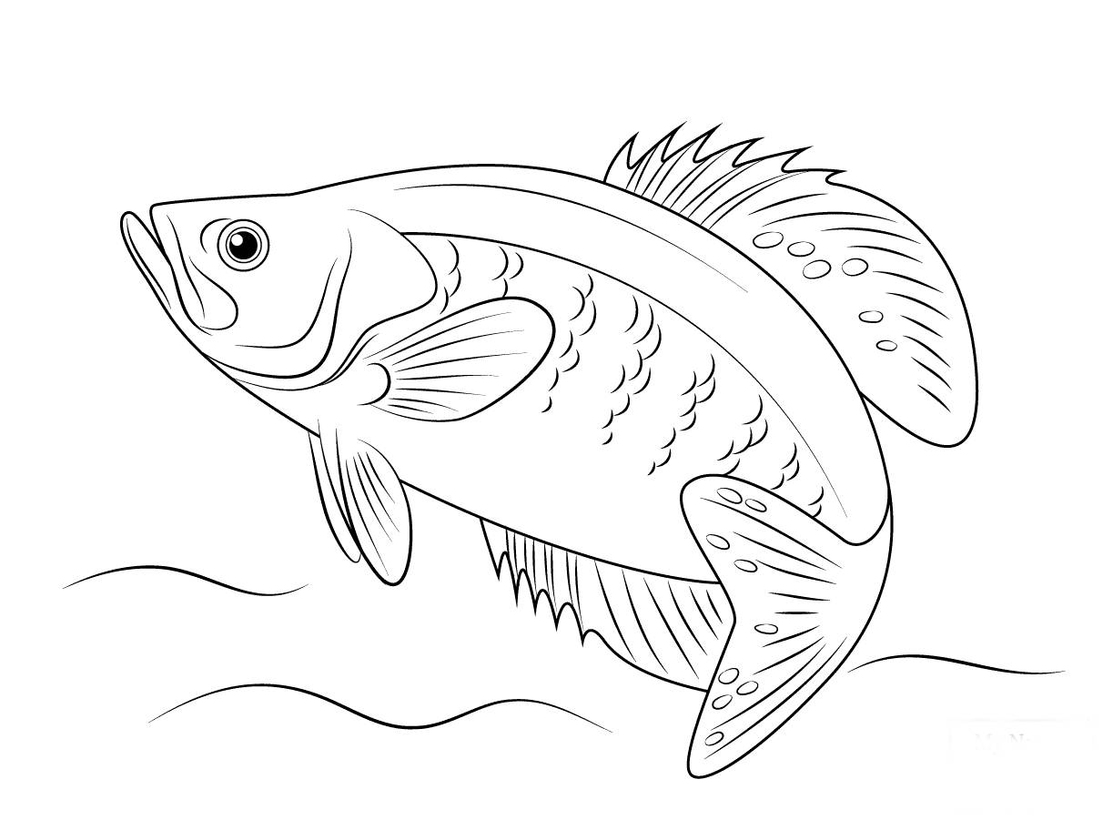 Photo Perch coloring page