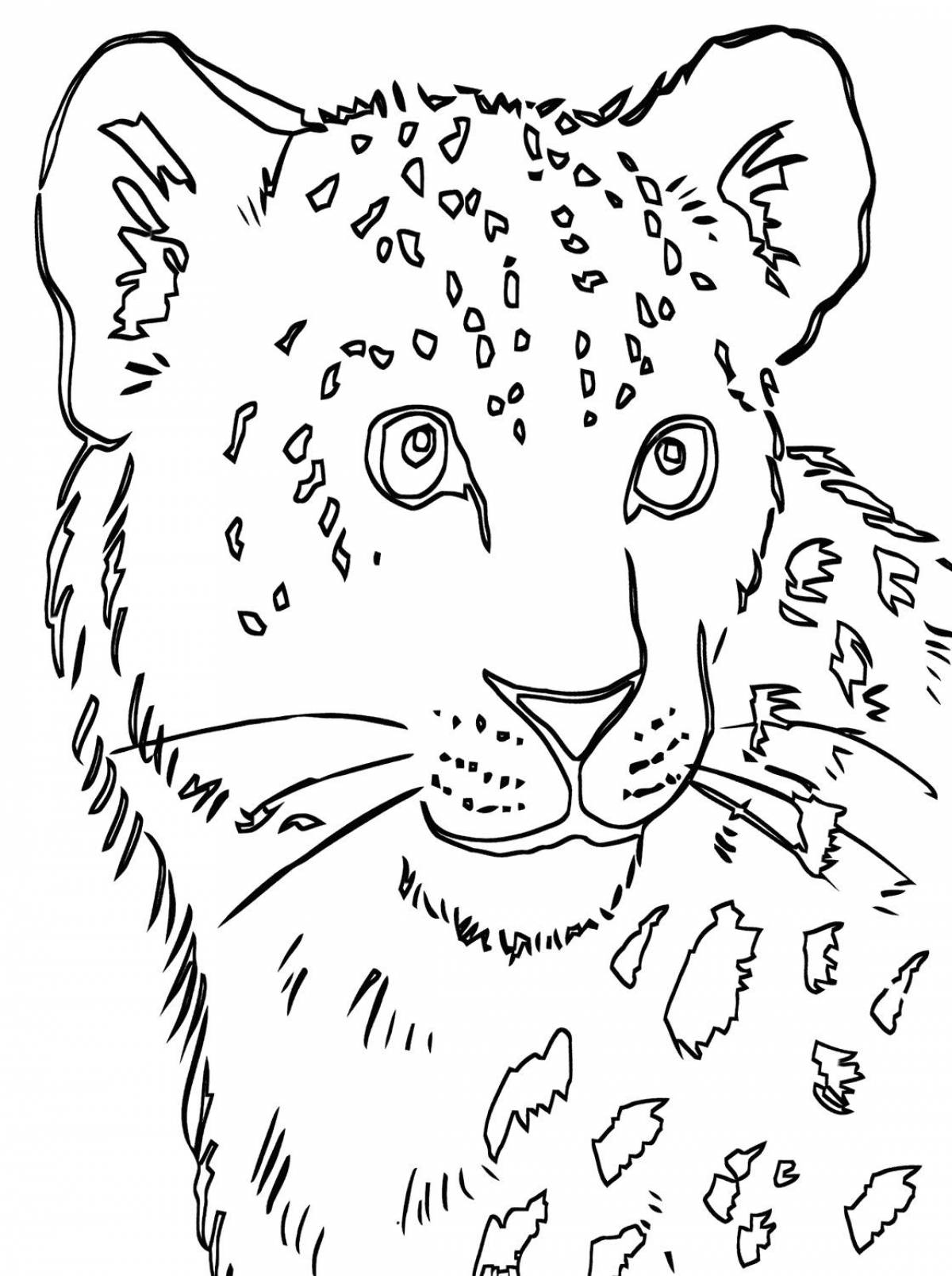Snow leopard drawing