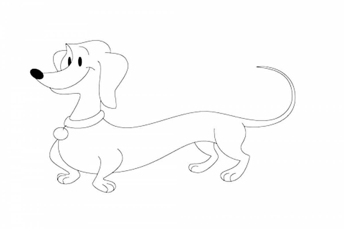 Funny dachshund