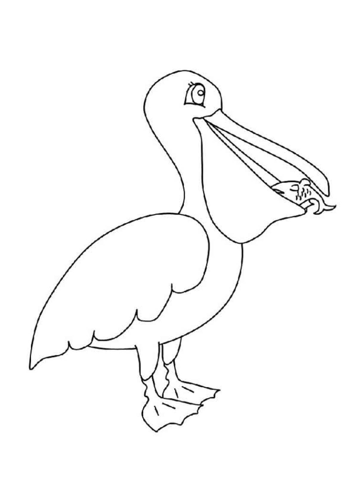 Пеликан с добычей